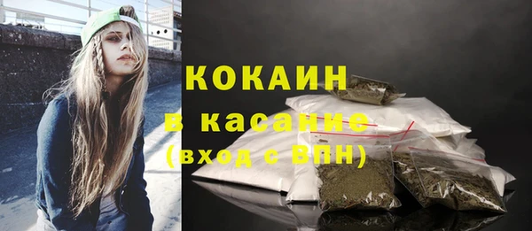 индика Горняк