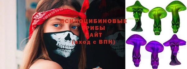 дмт Верхний Тагил