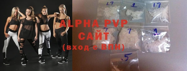 стаф Вязьма