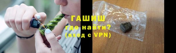 индика Горняк