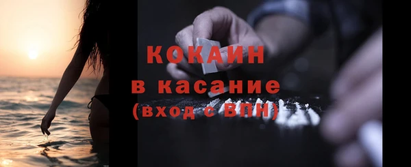 сатива Вязники