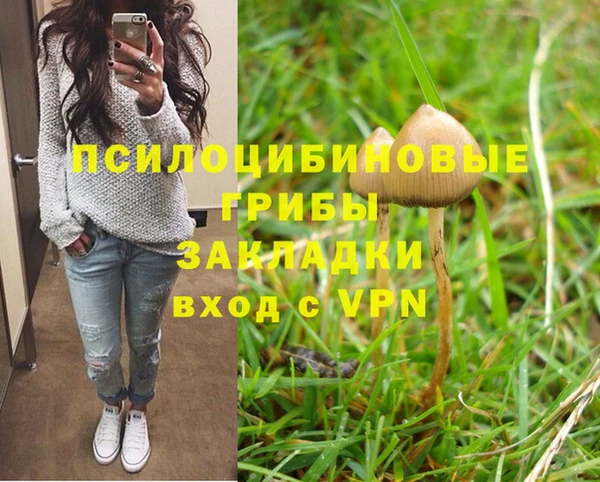 сатива Вязники