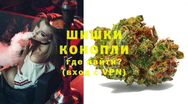 мдпв Кодинск