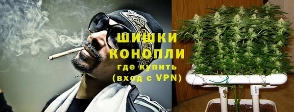 сатива Вязники