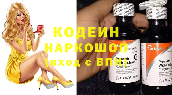 индика Горняк