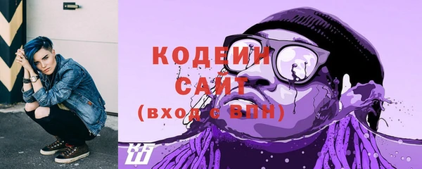скорость Пестово