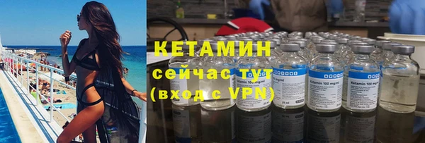 индика Горняк