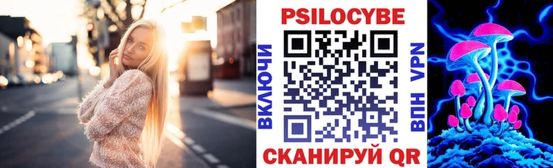 Псилоцибиновые грибы Psilocybe  mega маркетплейс  Игарка  цены  